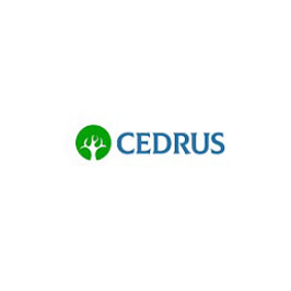 Chief Financial Officer